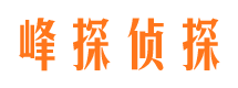 阿尔山商务调查